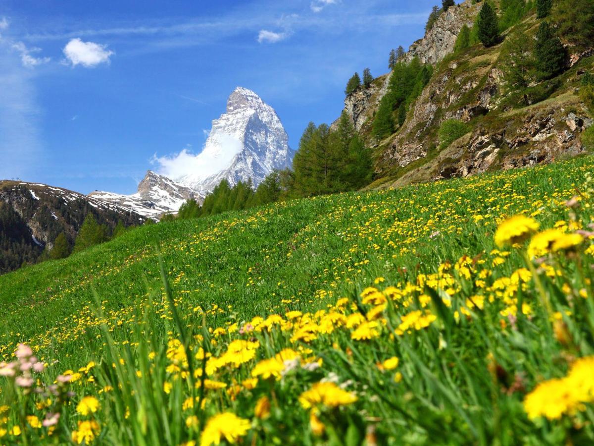 Apartment Select By Interhome Zermatt Exteriör bild